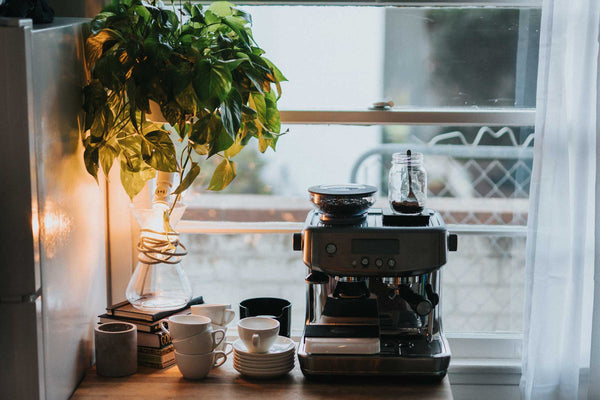 Espresso machine in kitchen with houseplant